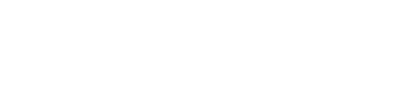 Accountants 